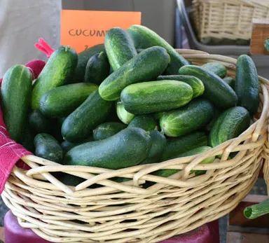 最近哪些女性吃瓜,盘点近期女性吃瓜热点事件