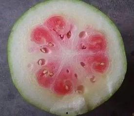 大孙吃瓜,揭秘娱乐圈幕后故事