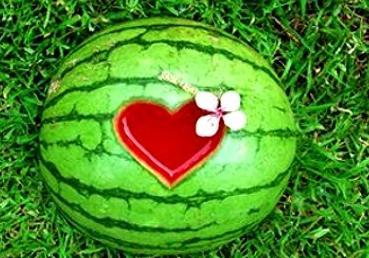 梦见吃瓜还,揭秘吃瓜背后的神秘寓意