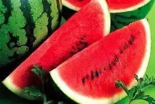 吃瓜记得带凳子,记得带凳子，畅享娱乐盛宴