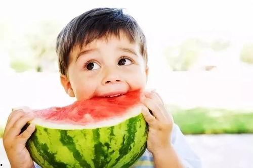 西瓜演唱会吃瓜,一场别开生面的“吃瓜”盛宴