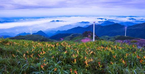风景真美吃瓜真刺激,一场视觉与味觉的双重盛宴