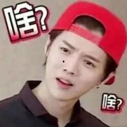 吃瓜表情包男星,笑料横生的娱乐圈风云人物