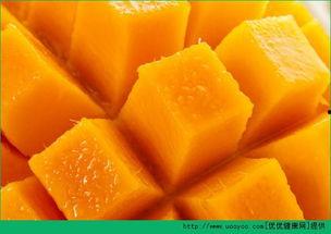 空腹可以吃小瓜,健康美味两不误的饮食选择