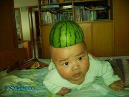 瓜太郎在线实时吃瓜,揭秘娱乐圈最新动态