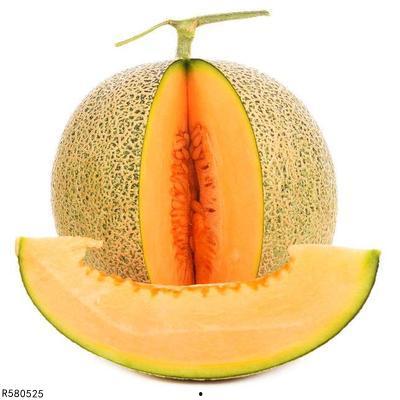 小新吃哈密瓜全集