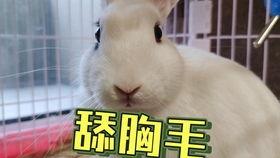 抖音吃瓜事件大全,盘点热门网络八卦，揭秘幕后真相