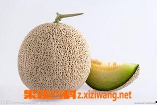 孕妇可以吃黄蜜瓜,黄蜜瓜的营养益处与食用指南