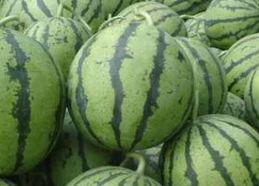 不吃瓜直接吃主食