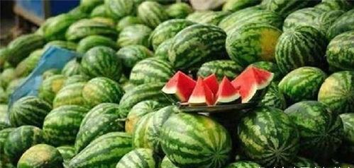 穿越古代草民吃瓜,草民视角下的吃瓜日常