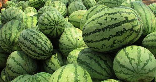 梦到吃瓜孑,揭秘梦中吃瓜的神秘寓意