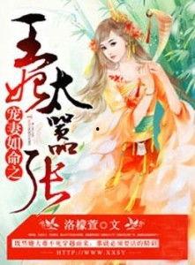 吃瓜王妃知乎小说,宫廷风云下的甜蜜逆袭