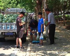 寿光西城吃瓜群众,吃瓜群众的夏日盛宴