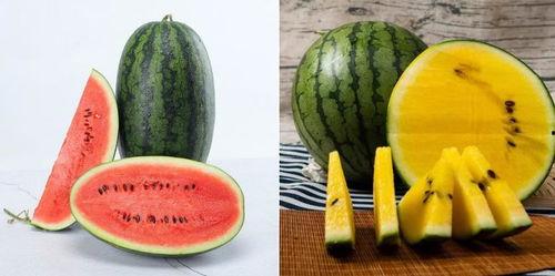 227 吃瓜,一场关于娱乐圈的全民狂欢