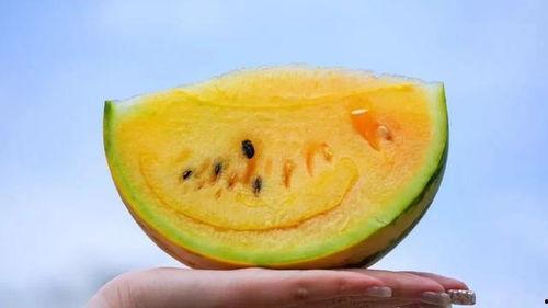 227 吃瓜,一场关于娱乐圈的全民狂欢