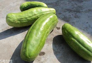 脆瓜应该怎么吃,脆瓜的多重美味吃法探索