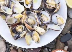 深圳贝壳吃瓜事件,一场房地产中介行业的舆论风波