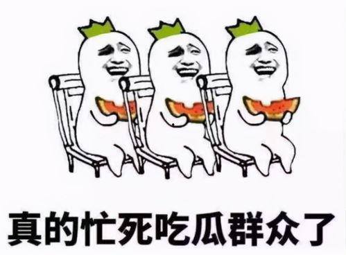 路过吃瓜的小陈,意外见证人间百态