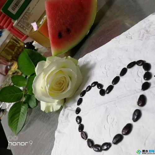 灌水吃瓜,揭秘网络社交的趣味与陷阱