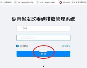 qq吃瓜中心,网络舆论场中的热点追踪与深度解析
