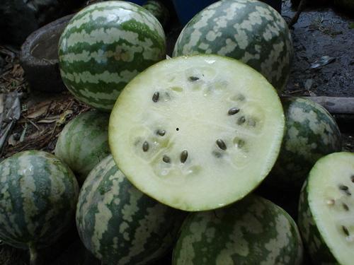 绿宝脆瓜怎么吃,绿宝脆瓜的多彩食法探索