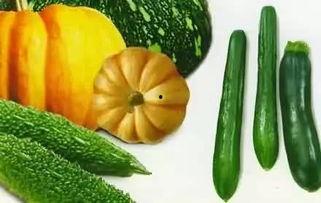 婉总吃瓜,揭秘娱乐圈幕后风云