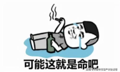 趴窗户吃瓜表情包,揭秘网络时代的社交新风尚