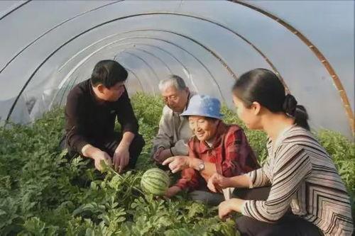 维族吃瓜,瓜果飘香中的民族饮食文化