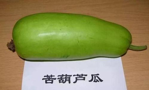 瓜不能和什么一起吃,揭秘瓜不能与哪些食物同食