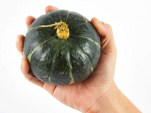 南瓜花带小瓜怎么吃,南瓜花带小瓜的多样美味烹饪法