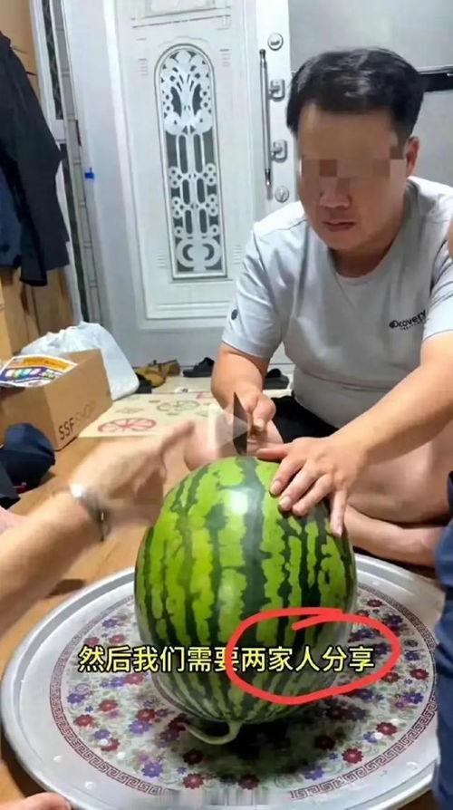 瓜地吃瓜 直播,趣味互动，畅享夏日清凉时光