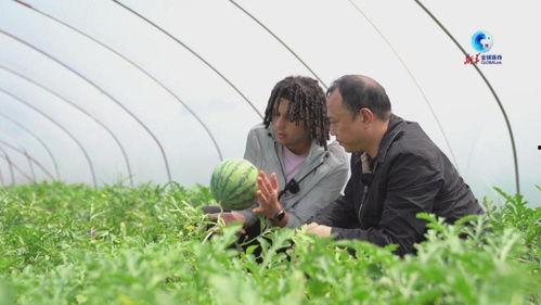 朝塘吃瓜,揭秘吃瓜群众的狂欢盛宴