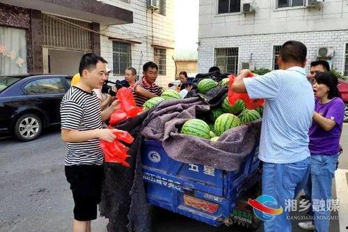 湘乡最新吃瓜事件,揭秘网络热议背后的真相