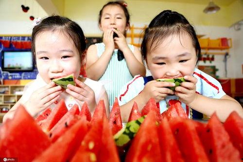 入伏吃瓜享清凉,吃瓜乐享清凉时光