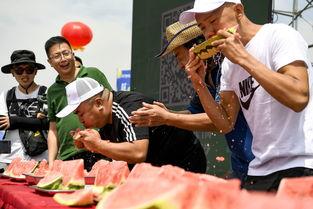 入伏吃瓜享清凉,吃瓜乐享清凉时光