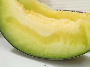 吃瓜找瓤,揭秘瓜果挑选与食用之道