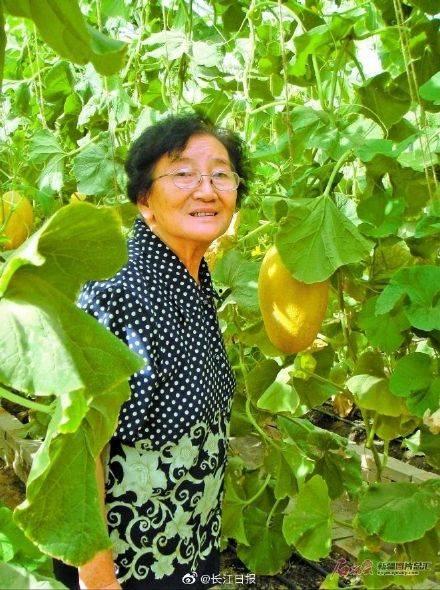 手作吃瓜,夏日清凉美食之旅