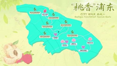 国外吃瓜路线视频,跟随吃瓜路线视频探索异国风情