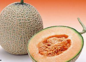 无畏吃哈密瓜,哈密瓜美食之旅