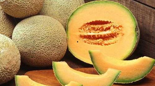 无畏吃哈密瓜,哈密瓜美食之旅