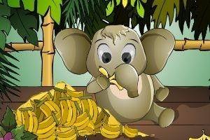 豆瓣小象乐园吃瓜,揭秘网络吃瓜文化的魅力与争议