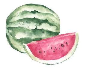 欢乐的吃瓜者,欢乐吃瓜者的趣味生活点滴