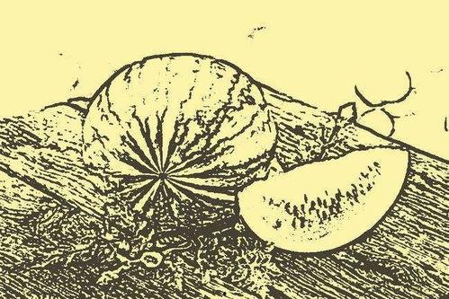 吃瓜的民间故事,民间吃瓜传说的神秘面纱