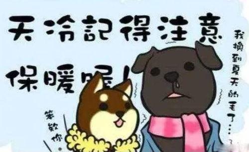 天气热吃瓜文案搞笑,笑对高温，一起‘凉夏吃瓜记！”