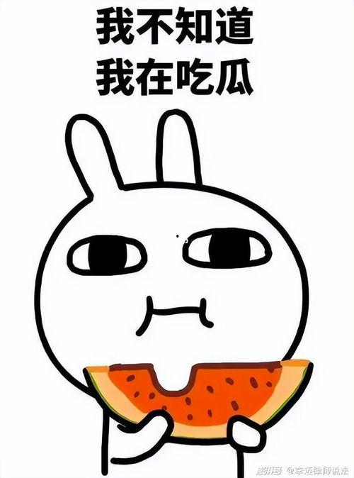 猥琐萌吃瓜表情包,网络时代的趣味社交新宠