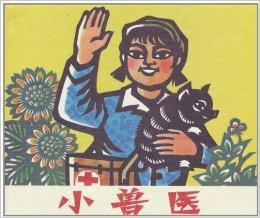 吃瓜的小兽医,吃瓜小兽医生的趣味医案集