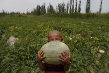 吃瓜群众瓜哥灵魂摄影师,捕捉光影中的灵魂瞬间