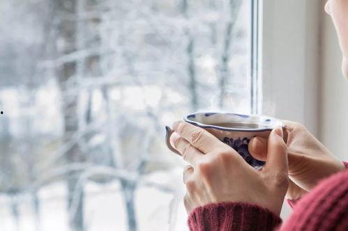 那年冬天我吃瓜,瓜田里的甜蜜回忆