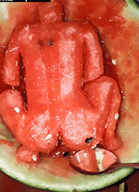 吃瓜群众图片gif,揭秘网络热议背后的真实表情