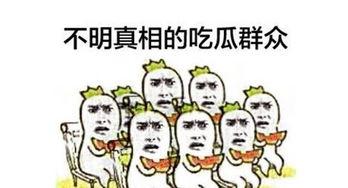 早起青年与吃瓜群众,解码当代社会生活态度